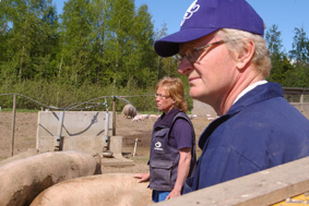 Ekologiska grisproducenterna