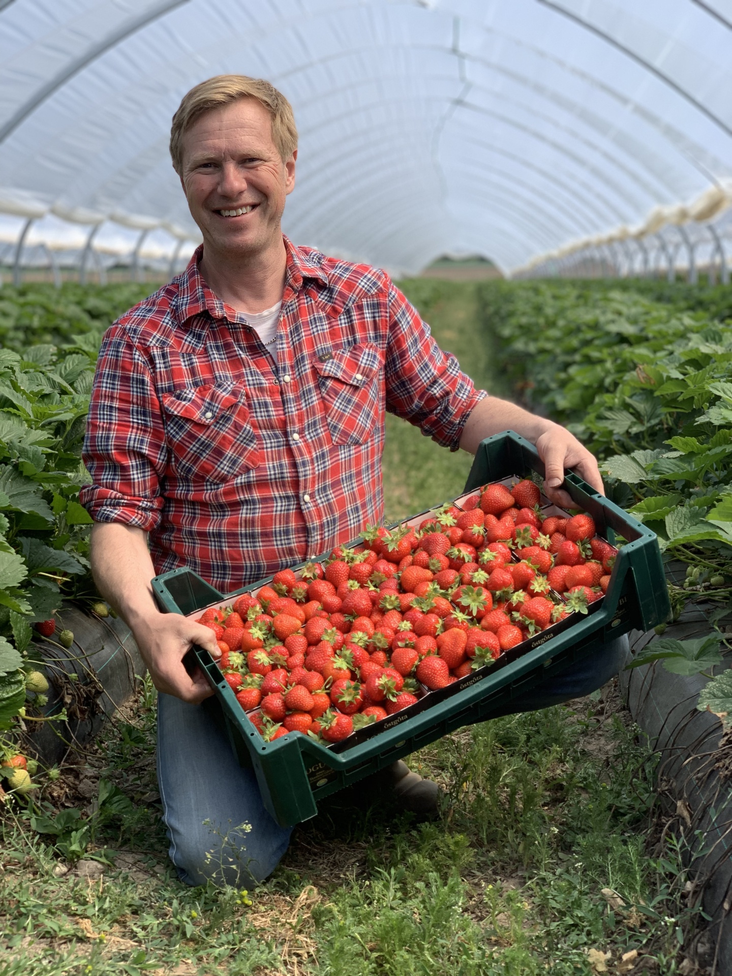 Skedevi gård, Claes Pettersson